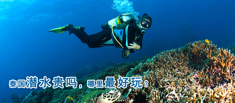 泰国潜水多少钱，哪里好玩